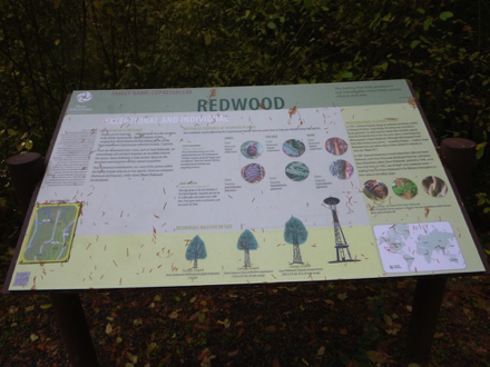 Informational sign about Redwood trees